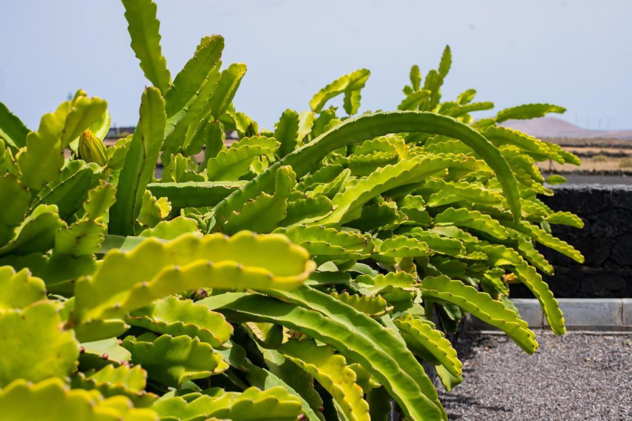 Eslanzarote Eco Dome Experience Ξενοδοχείο Teguise  Εξωτερικό φωτογραφία
