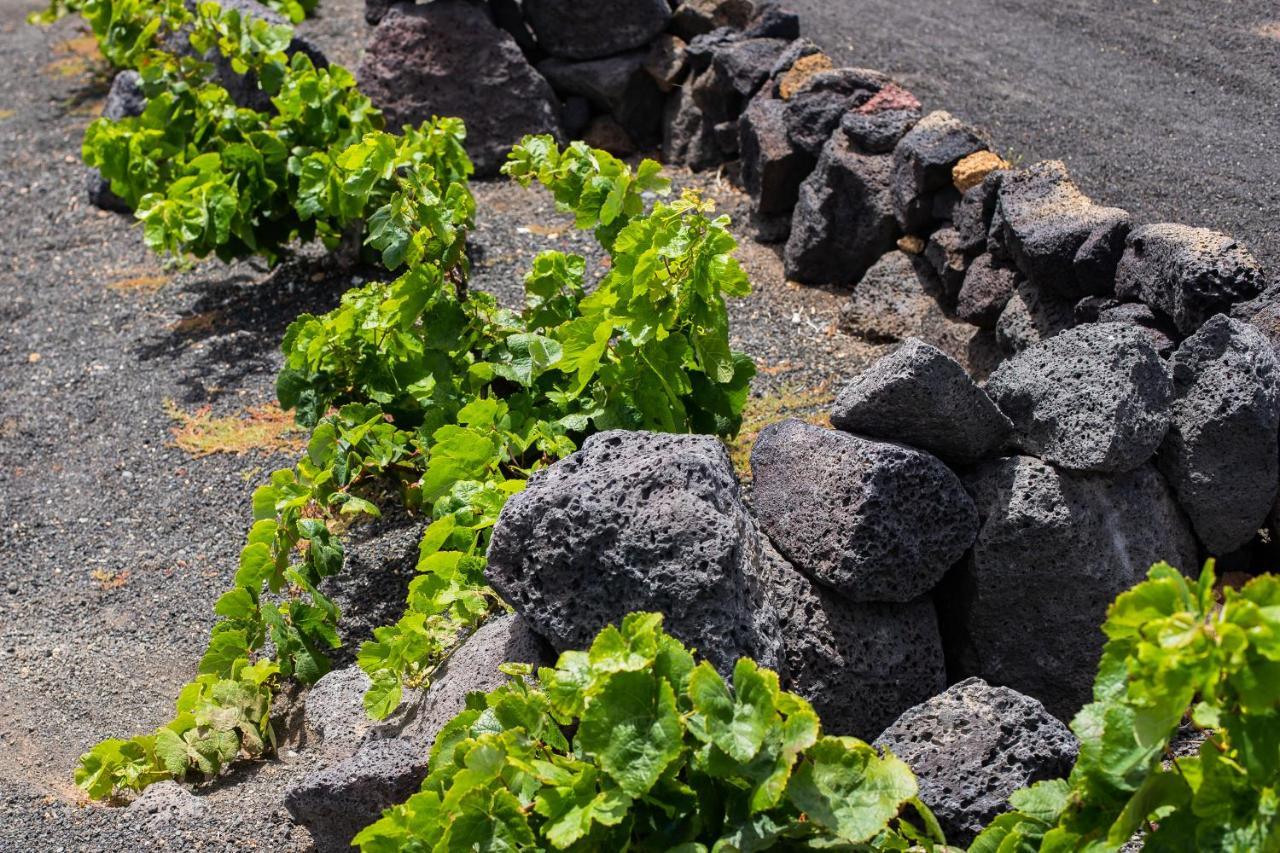 Eslanzarote Eco Dome Experience Ξενοδοχείο Teguise  Εξωτερικό φωτογραφία
